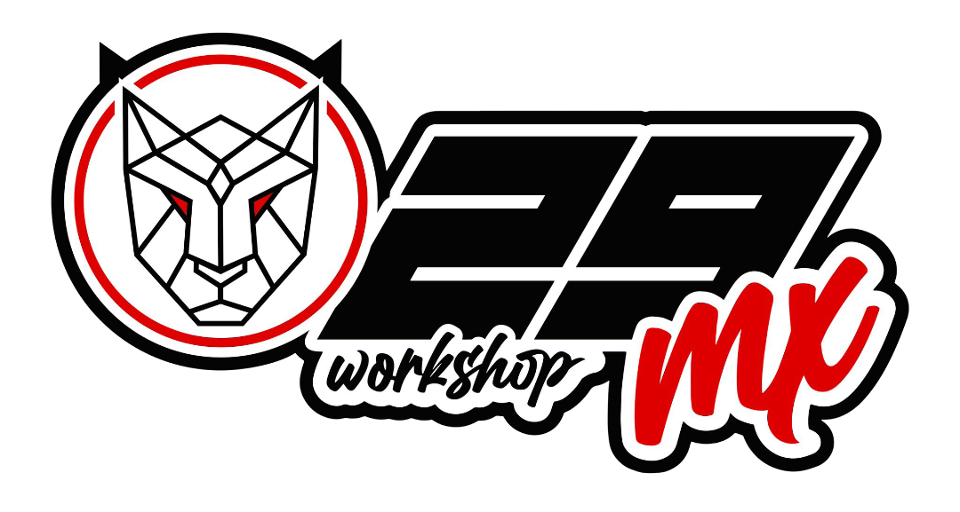 29MXWorkShop